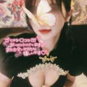 ヒメ日記 2025/10/26 10:30 投稿 ひかり ママれもん葛西店