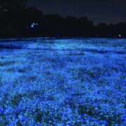 ヒメ日記 2025/05/18 11:35 投稿 さよ スピード難波店