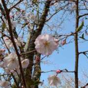 ヒメ日記 2025/04/01 17:33 投稿 ゆきね☆現役学生の秘密な思い出♪ 妹系イメージSOAP萌えフードル学園 大宮本校