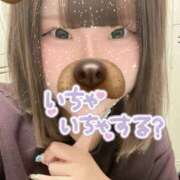 ヒメ日記 2025/10/16 13:20 投稿 あやめ 渋谷平成女学園