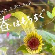 ヒメ日記 2025/03/13 20:48 投稿 友香 出会い系人妻ネットワーク 渋谷〜目黒編
