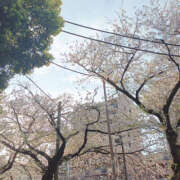 ヒメ日記 2025/04/08 00:07 投稿 みゆき 土浦ハッピーマットパラダイス