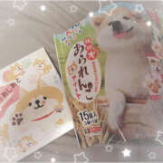 ヒメ日記 2025/05/05 13:37 投稿 みゆき 土浦ハッピーマットパラダイス