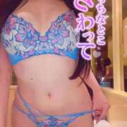 ヒメ日記 2025/02/19 10:04 投稿 海（うみ） 男爵