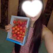 ヒメ日記 2025/07/04 15:18 投稿 海（うみ） 男爵