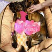 ヒメ日記 2025/07/28 17:49 投稿 早瀬　ちひろ 一夜妻