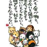 ヒメ日記 2025/09/12 21:19 投稿 早瀬　ちひろ 一夜妻