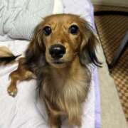 ヒメ日記 2025/11/10 17:29 投稿 早瀬　ちひろ 一夜妻