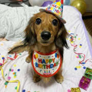 ヒメ日記 2025/12/18 20:39 投稿 早瀬　ちひろ 一夜妻