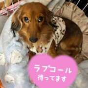 ヒメ日記 2026/03/12 21:29 投稿 早瀬　ちひろ 一夜妻