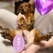 ヒメ日記 2026/04/24 12:53 投稿 早瀬　ちひろ 一夜妻