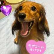 早瀬　ちひろ アリスDay😆✨ 一夜妻