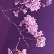 ヒメ日記 2025/04/03 09:10 投稿 かなで 横浜しこたまクリニック