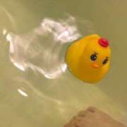 ヒメ日記 2025/04/17 17:23 投稿 かなで 横浜しこたまクリニック