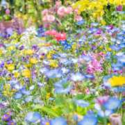 ヒメ日記 2025/10/28 12:53 投稿 かなで 横浜しこたまクリニック