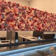 ヒメ日記 2025/11/03 09:04 投稿 かなで 横浜しこたまクリニック