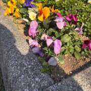 ヒメ日記 2026/01/09 00:03 投稿 かなで 横浜しこたまクリニック