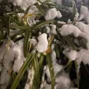 ヒメ日記 2026/02/09 21:13 投稿 かなで 横浜しこたまクリニック