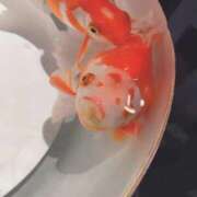 ヒメ日記 2026/03/07 18:33 投稿 かなで 横浜しこたまクリニック