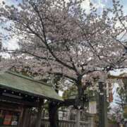 ヒメ日記 2026/03/28 09:03 投稿 かなで 横浜しこたまクリニック