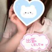 ヒメ日記 2026/04/13 16:23 投稿 かなで 横浜しこたまクリニック