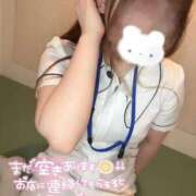 ヒメ日記 2026/04/29 19:53 投稿 かなで 横浜しこたまクリニック