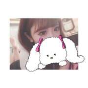 ヒメ日記 2025/04/22 11:11 投稿 しの コレクション