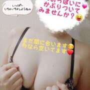 ヒメ日記 2025/01/08 20:04 投稿 かな Hip's千葉駅前店