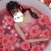 ヒメ日記 2025/01/24 15:51 投稿 かな Hip's千葉駅前店