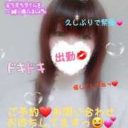 ヒメ日記 2025/02/13 09:33 投稿 かな Hip's千葉駅前店