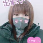 ヒメ日記 2025/02/20 11:43 投稿 かな Hip's千葉駅前店