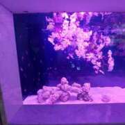 ヒメ日記 2025/03/24 11:14 投稿 かな Hip's千葉駅前店