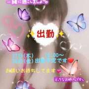 ヒメ日記 2025/03/27 01:44 投稿 かな Hip's千葉駅前店