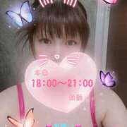 ヒメ日記 2025/05/27 15:04 投稿 かな Hip's千葉駅前店