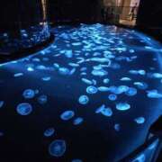 ヒメ日記 2025/09/16 02:12 投稿 かな Hip's千葉駅前店