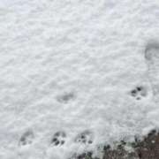 ヒメ日記 2026/02/08 11:35 投稿 まな 夢の国デリランド