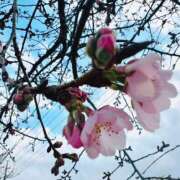 ヒメ日記 2026/03/04 14:45 投稿 みくる 若妻淫乱倶楽部 久喜店