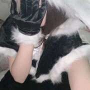 ヒメ日記 2024/12/28 12:49 投稿 ゆき SOAPLAND LOVE FACTORY