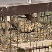 ヒメ日記 2025/10/25 16:19 投稿 ゆき SOAPLAND LOVE FACTORY