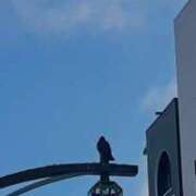 ヒメ日記 2026/01/12 15:52 投稿 ゆき SOAPLAND LOVE FACTORY