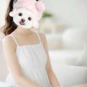 ヒメ日記 2025/04/29 12:04 投稿 茅咲 Arrest（アレスト）