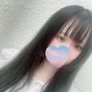 茅咲 🐑おやすみday💤 Arrest（アレスト）