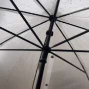 ヒメ日記 2025/09/05 05:53 投稿 あずみ デザインプリズム新宿