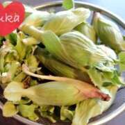 ヒメ日記 2025/03/15 09:28 投稿 ユカ よくばりFlavor