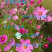 ヒメ日記 2025/11/04 13:40 投稿 ユカ よくばりFlavor