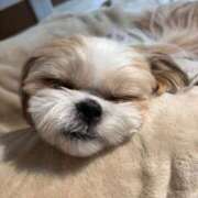 ヒメ日記 2025/12/28 23:34 投稿 ゆう SOAPLAND LOVE FACTORY