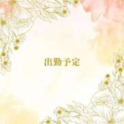 ヒメ日記 2025/05/04 01:08 投稿 ねい マドンナSANSAIN