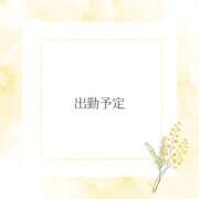 ヒメ日記 2025/06/11 20:08 投稿 ねい マドンナSANSAIN