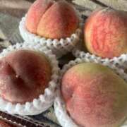 ヒメ日記 2025/07/06 13:08 投稿 ねい マドンナSANSAIN