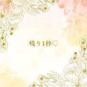 ヒメ日記 2025/12/13 18:08 投稿 ねい マドンナSANSAIN